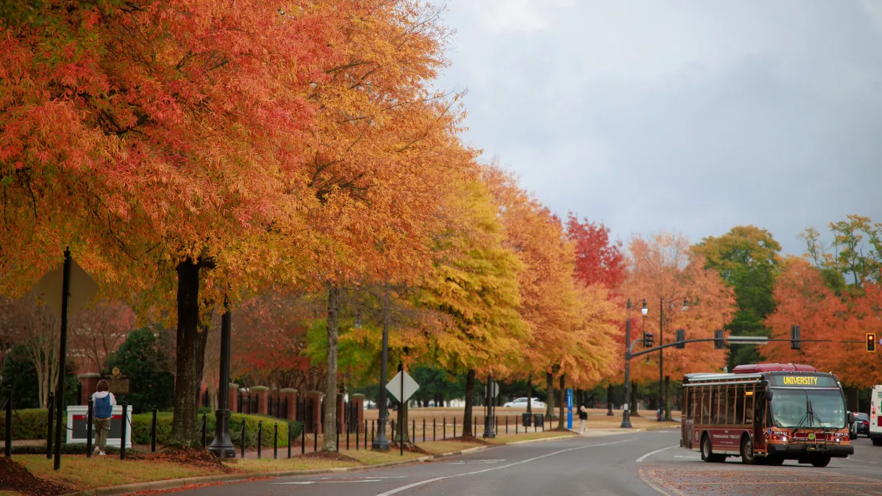 A bus waiting on UA campus