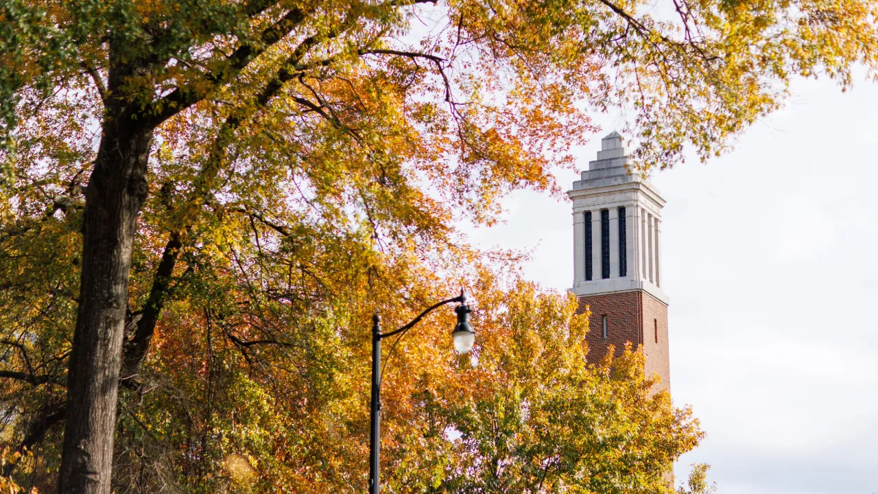 Denny Chimes during the fall
