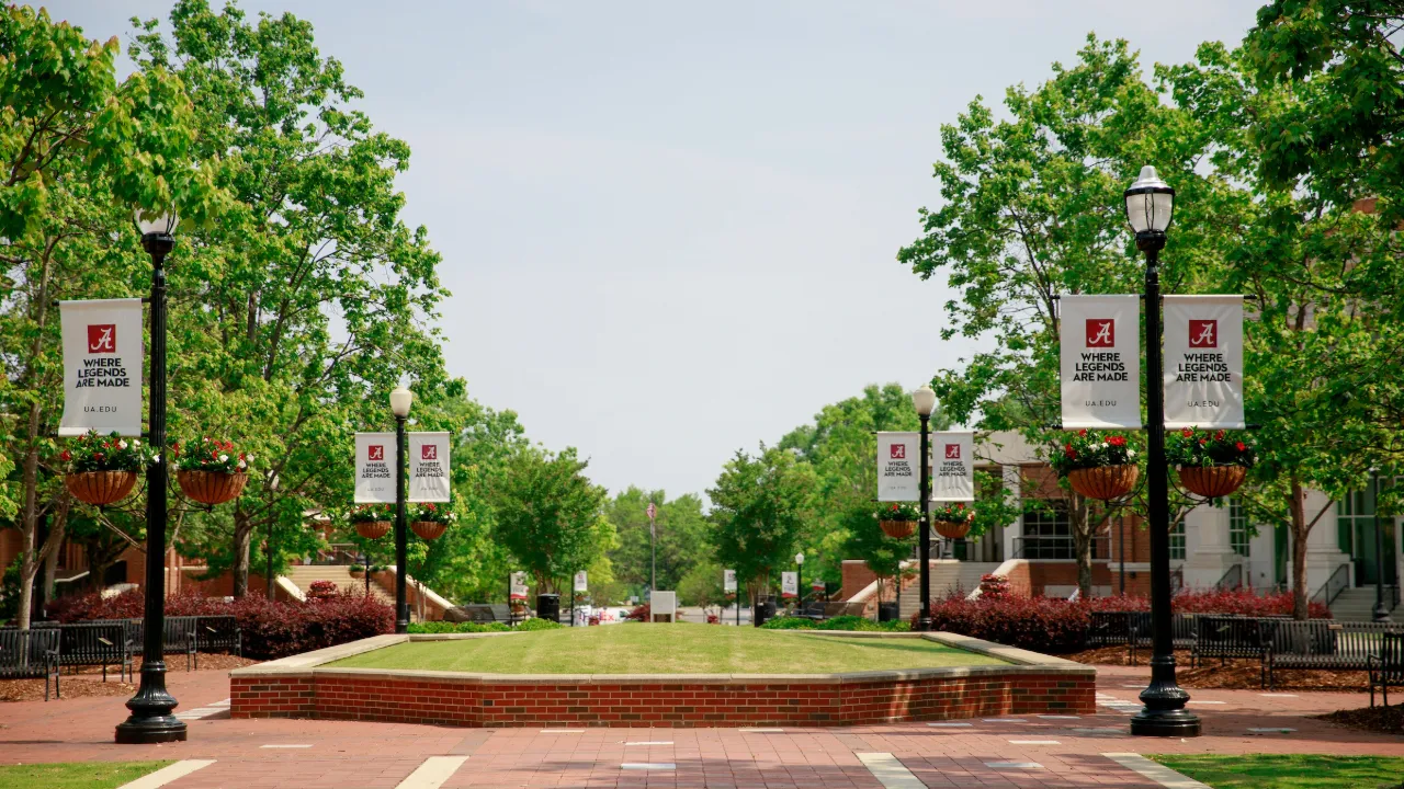 A look at the promenade on campus